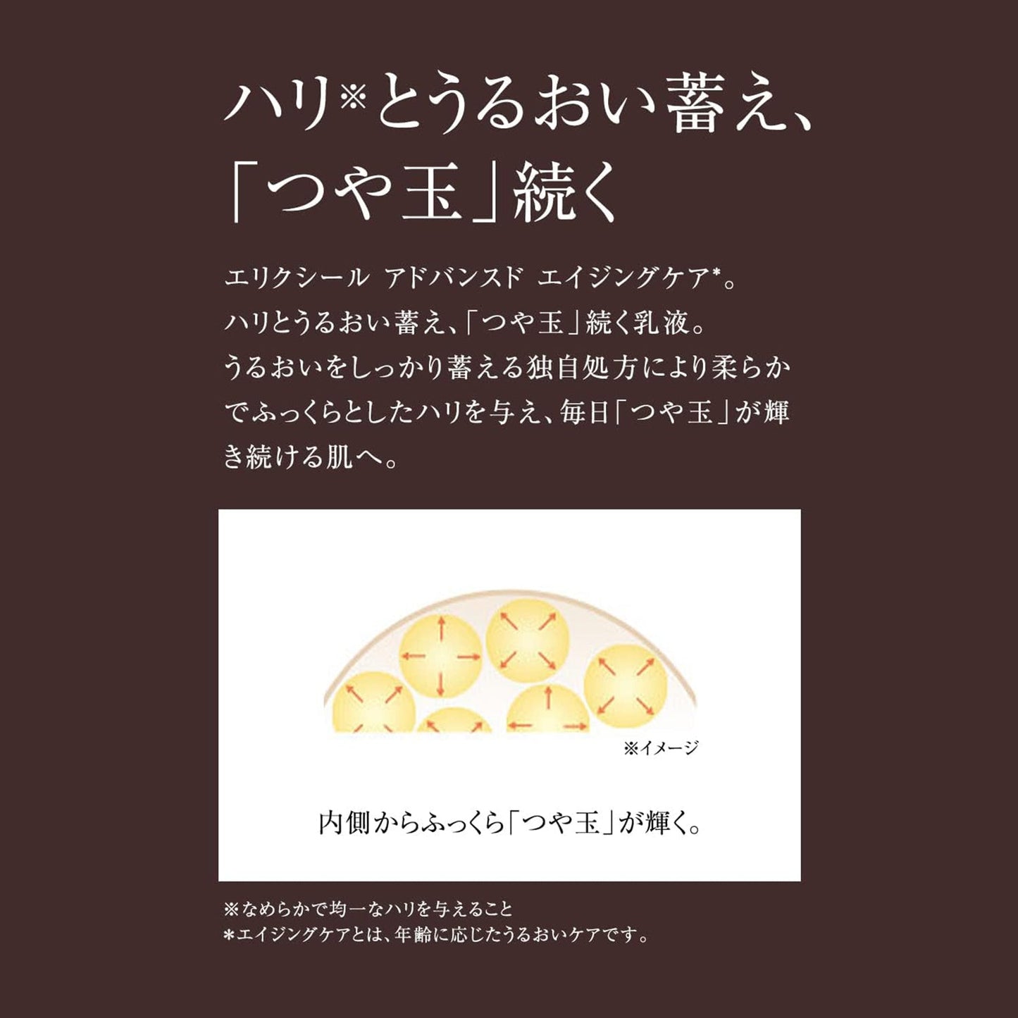 ローション　Ｔ　Ⅱ　（つめかえ用）