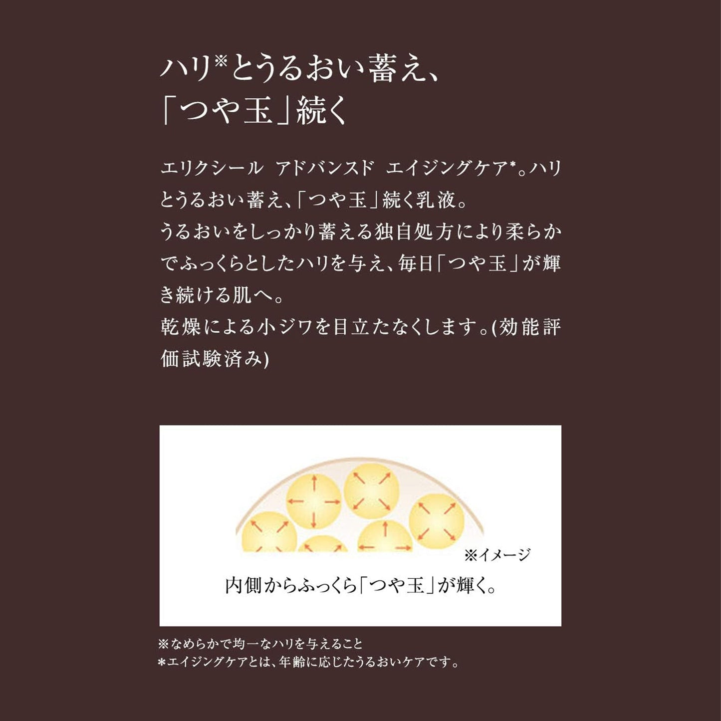 エマルジョン　Ｔ　Ⅱ　（つめかえ用）