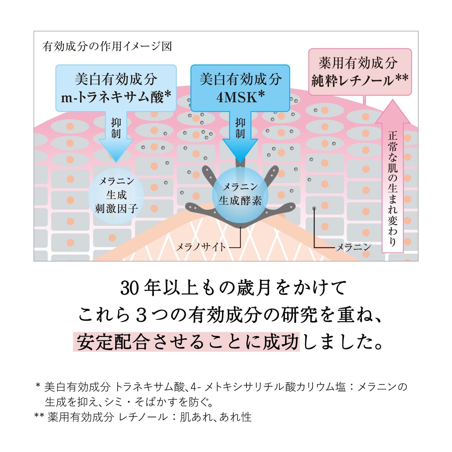スポットクリアセラム　ＷＴ