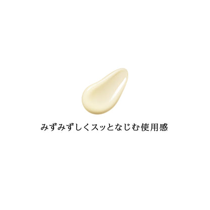 スポットクリアセラム　ＷＴ