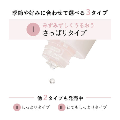 ブライトニング　ローション　ＷＴ　Ⅰ　（つめかえ用）