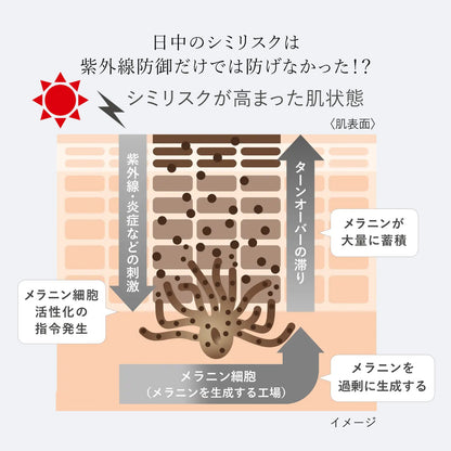 デイブライトニングＵＶ