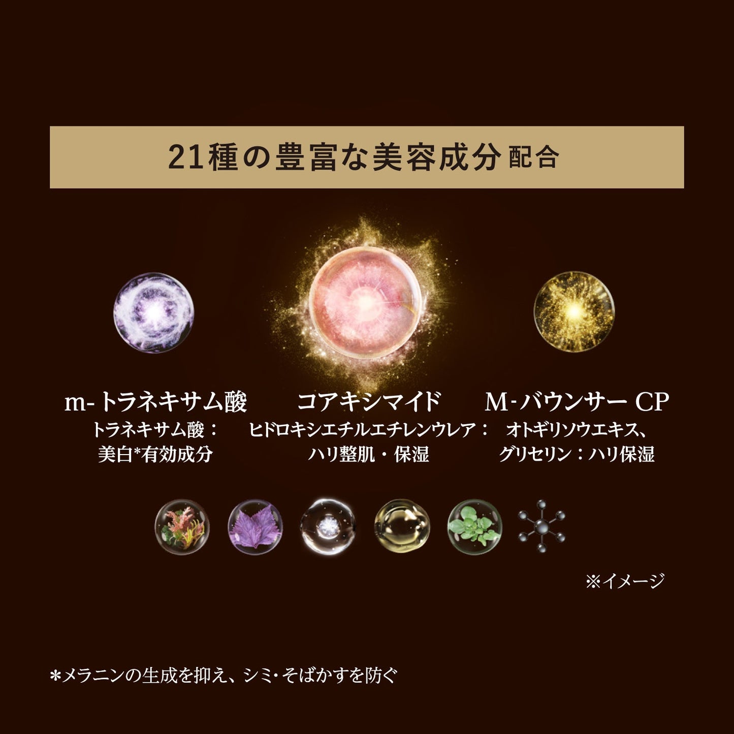 ザ　セラム　ａａ