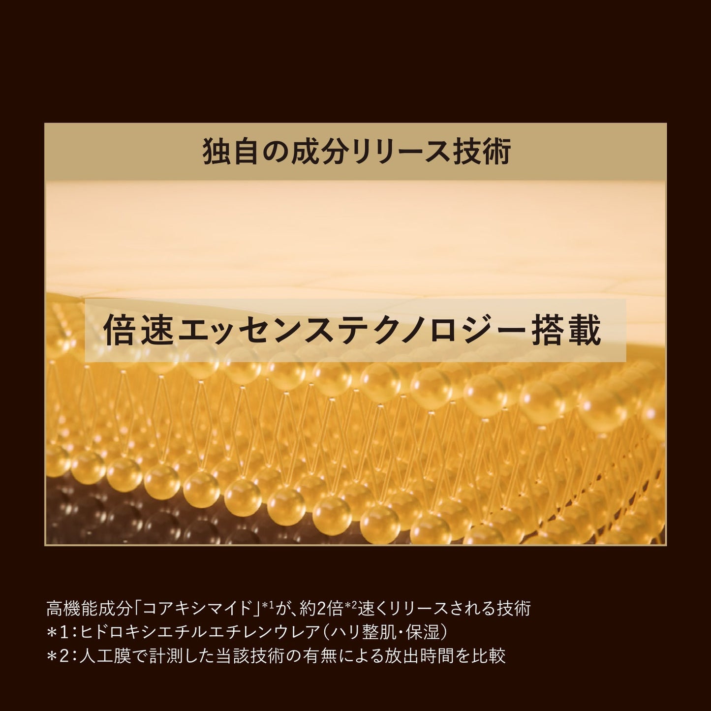 ザ　セラム　ａａ