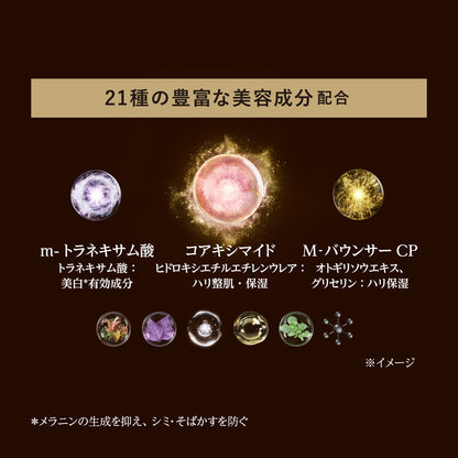 ザ　セラム　ａａ　（つけかえ用）