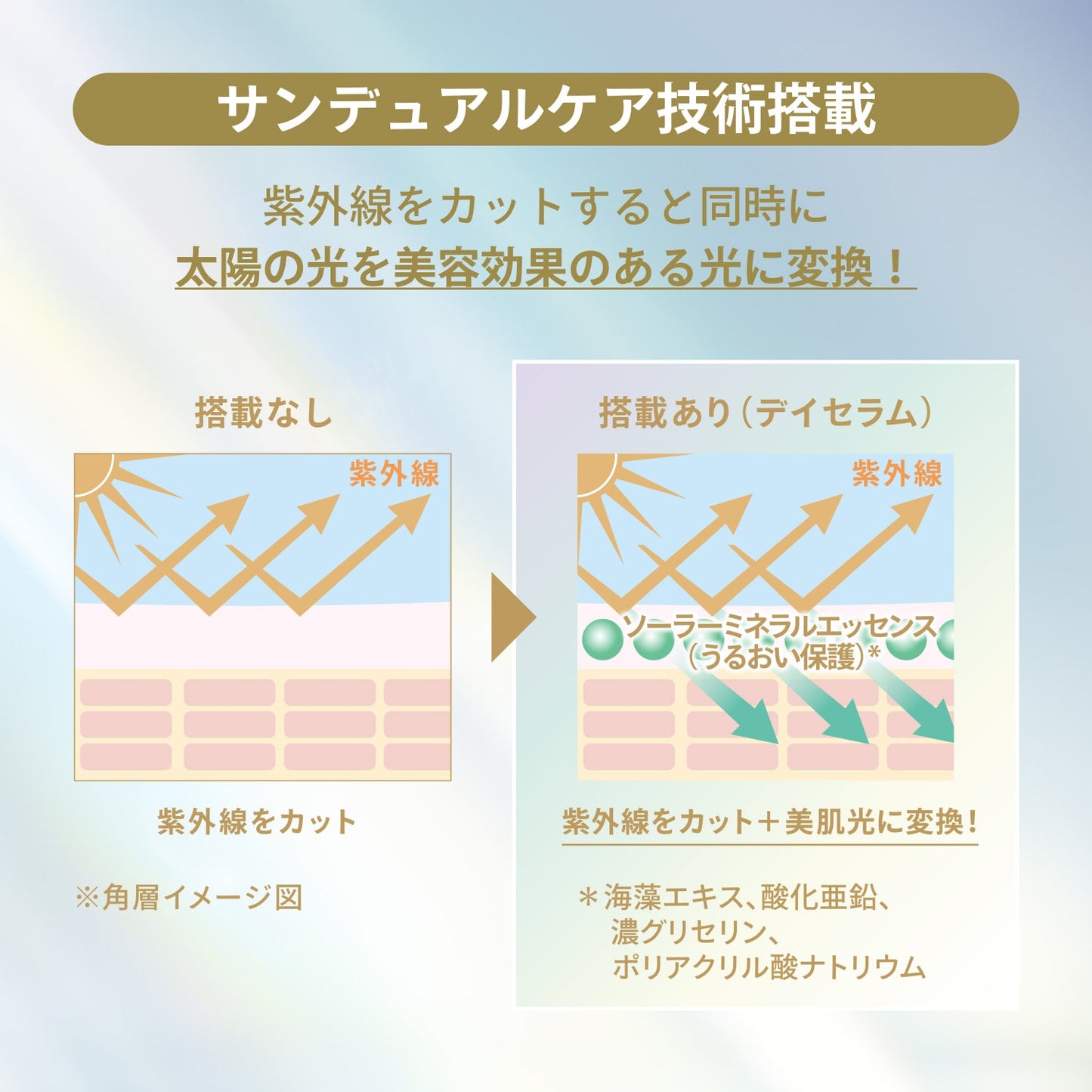 デイセラム　Ｎ