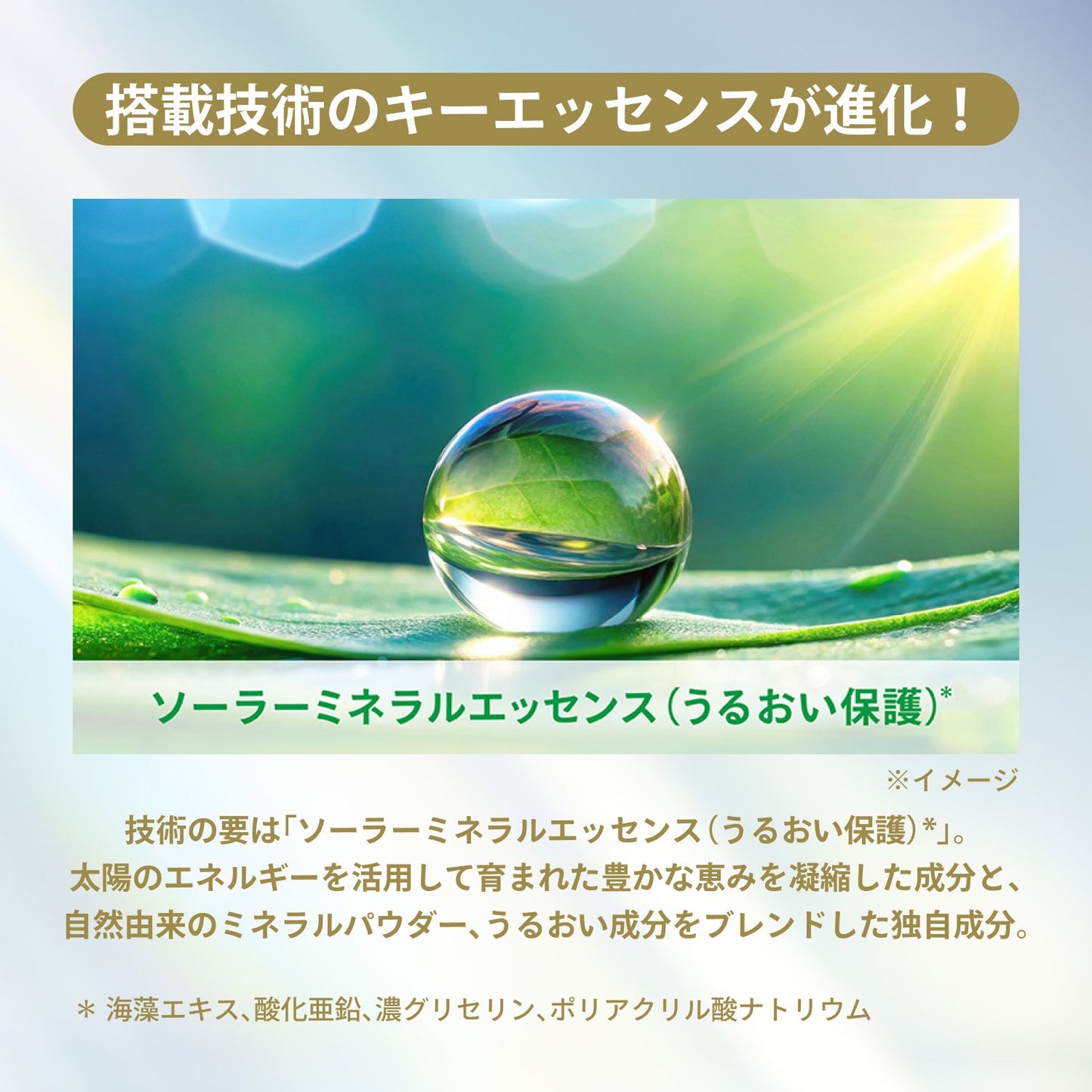 デイセラム　Ｎ