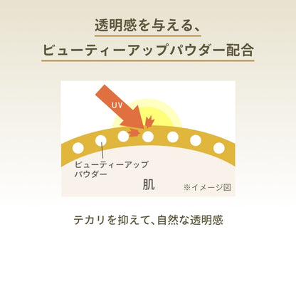 パーフェクトＵＶ　ブラッシュオンパウダー