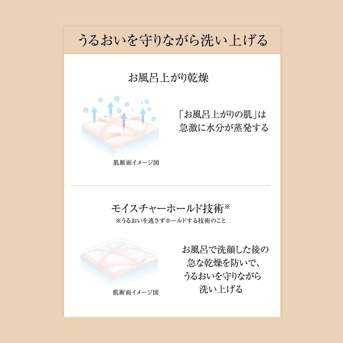 モイストイン　クレンズ