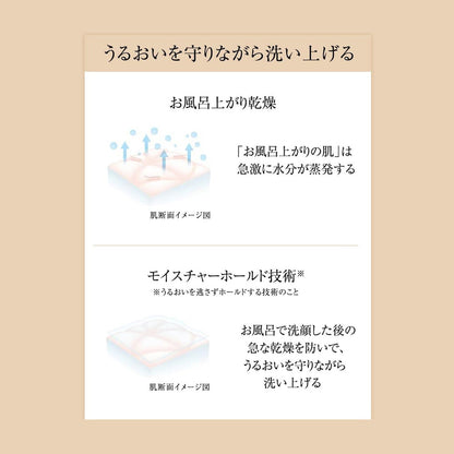 モイストイン　クレンズ